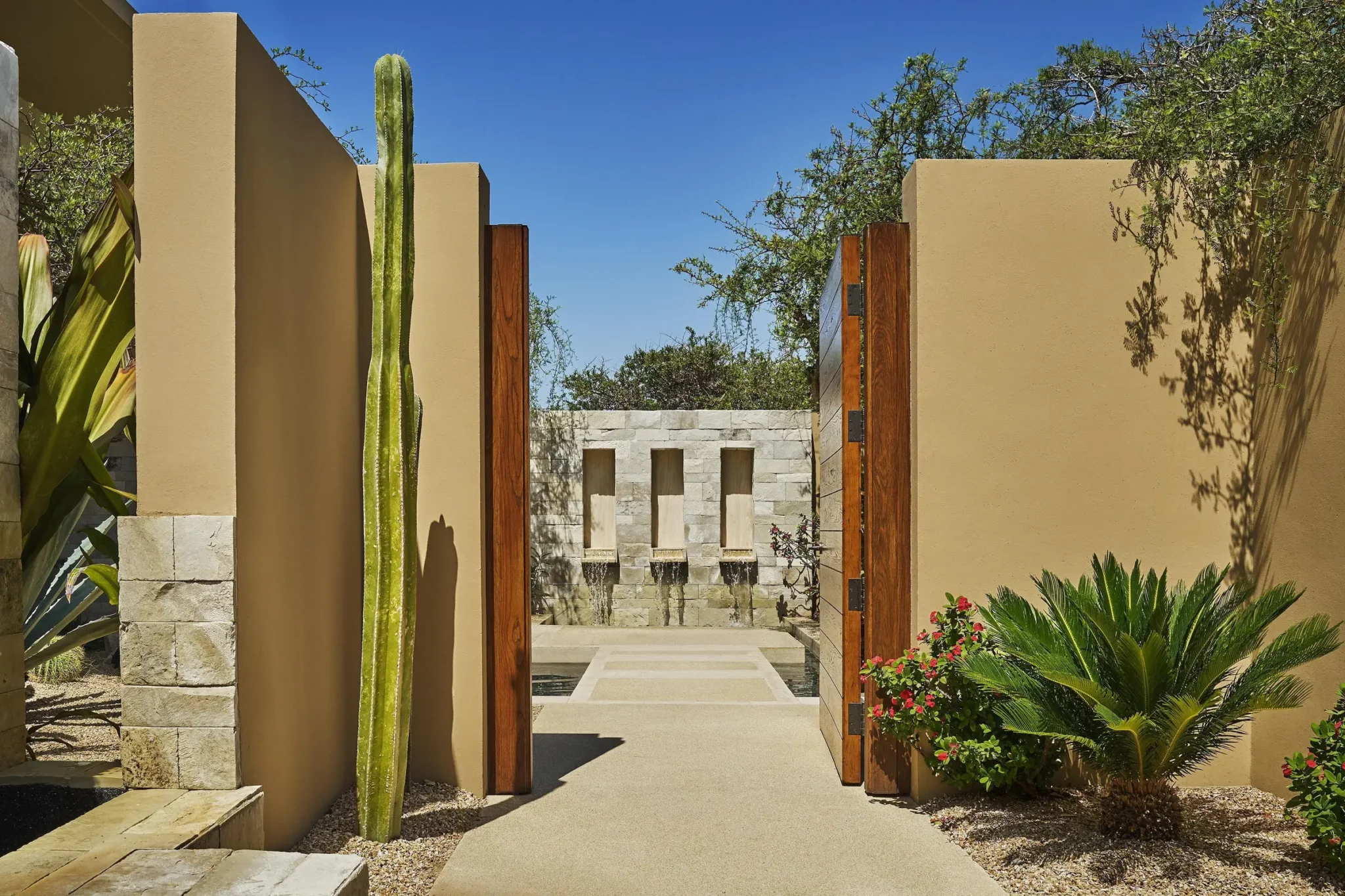 Montage Los Cabos